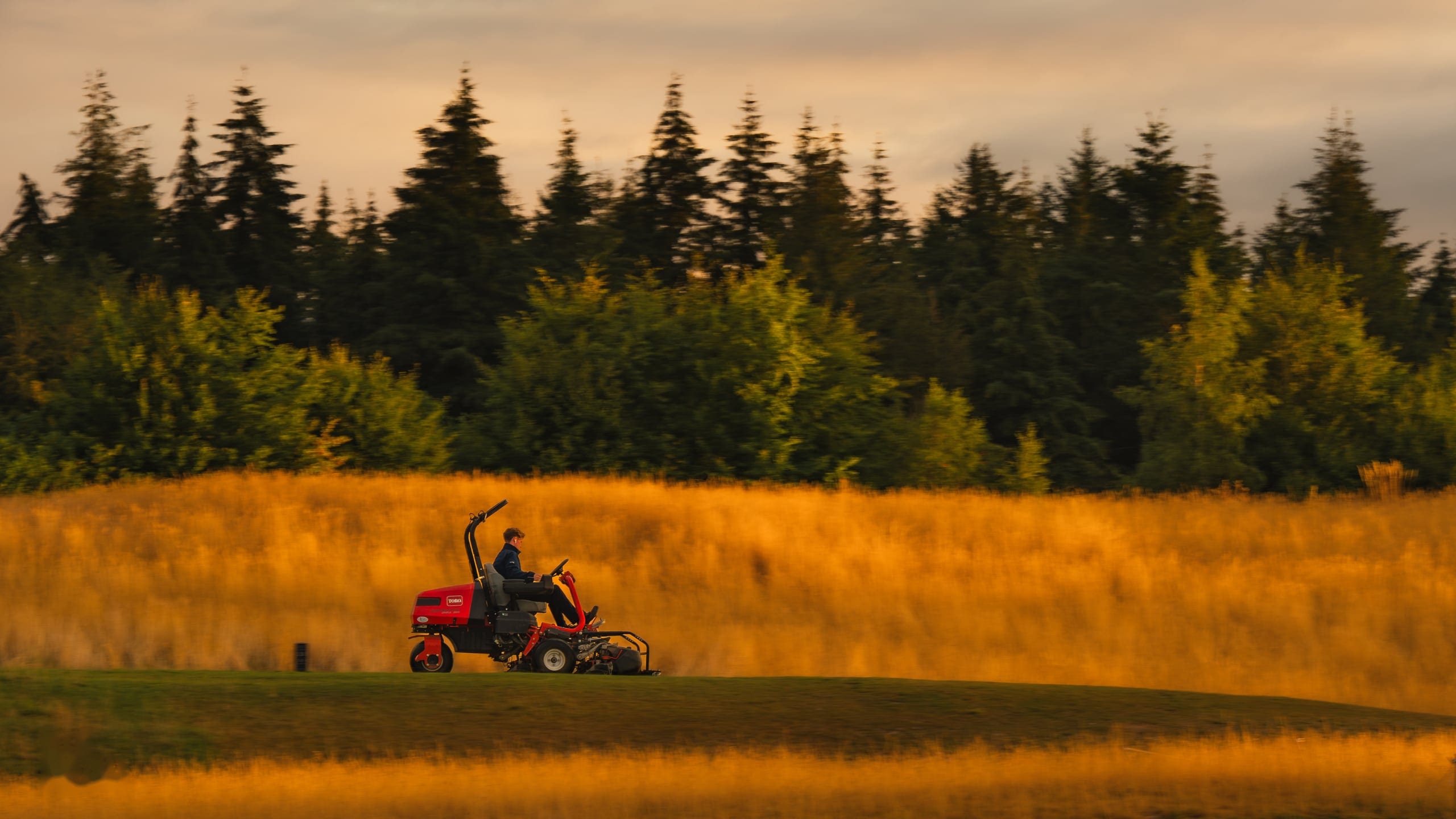 A mower working the rough at the treeline
