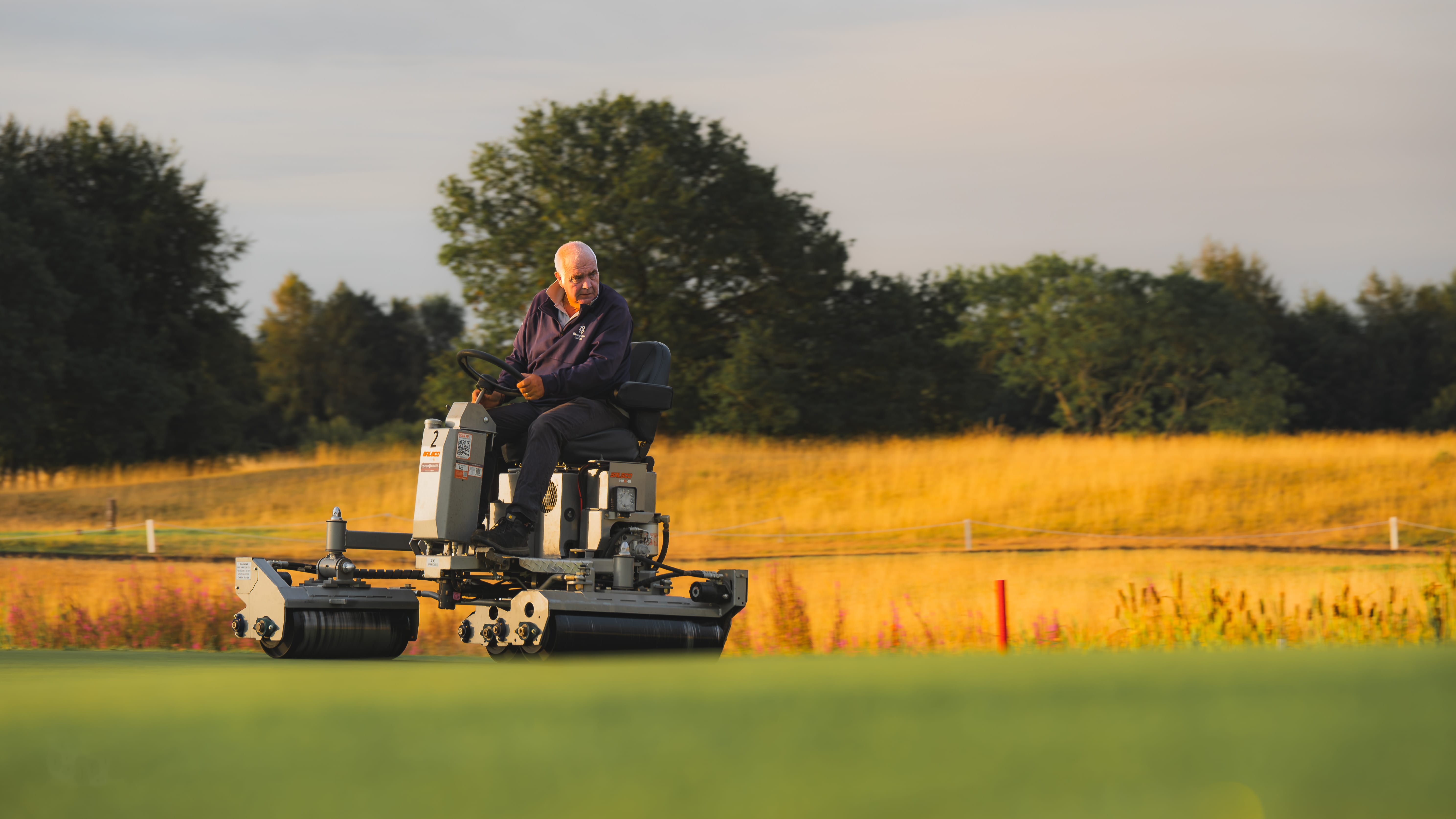 A greenkeeper on a mower crossing rough lit gold by the evening sun