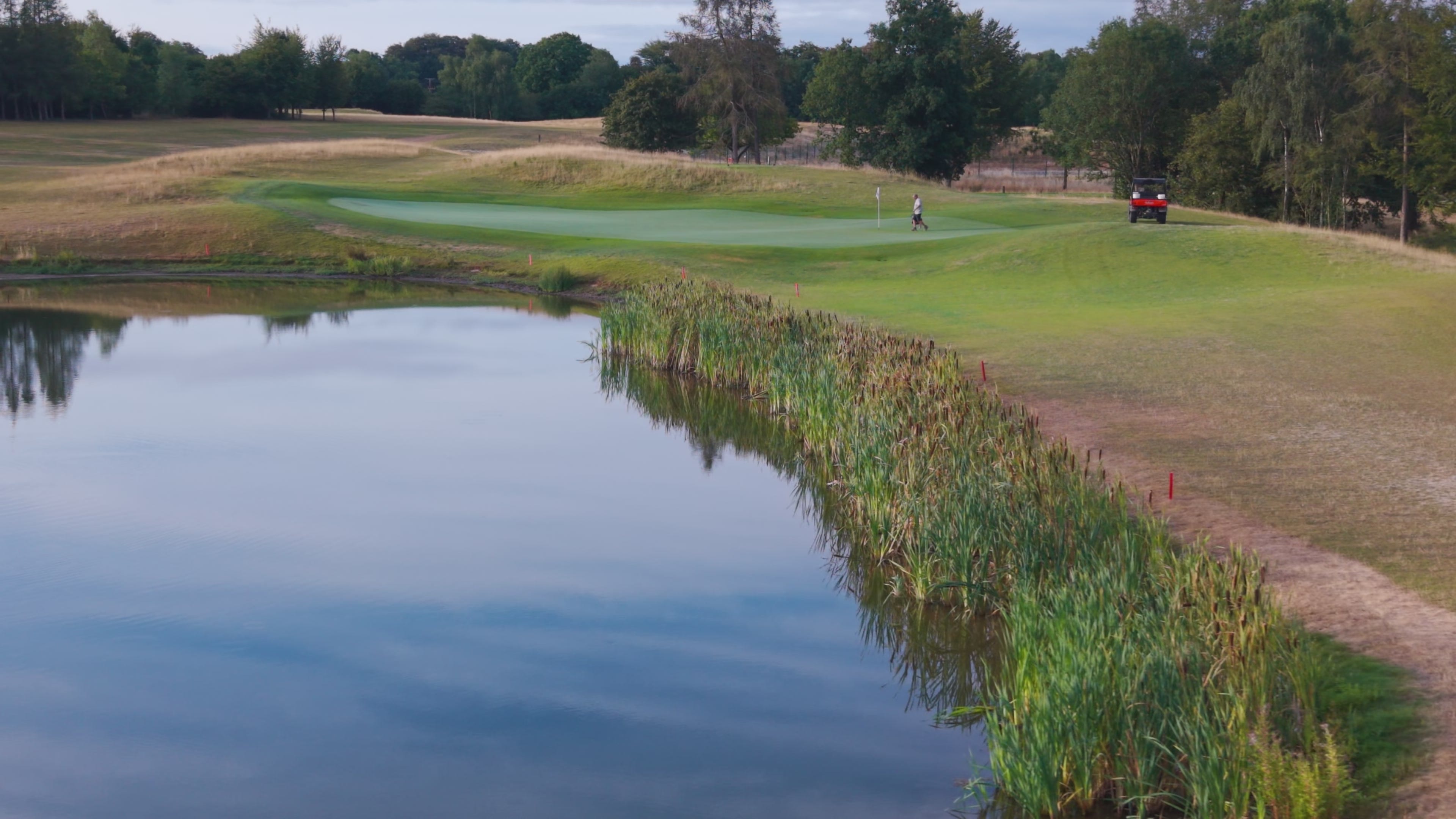 A green across a still pond in summer, the far bank mirrored in the water