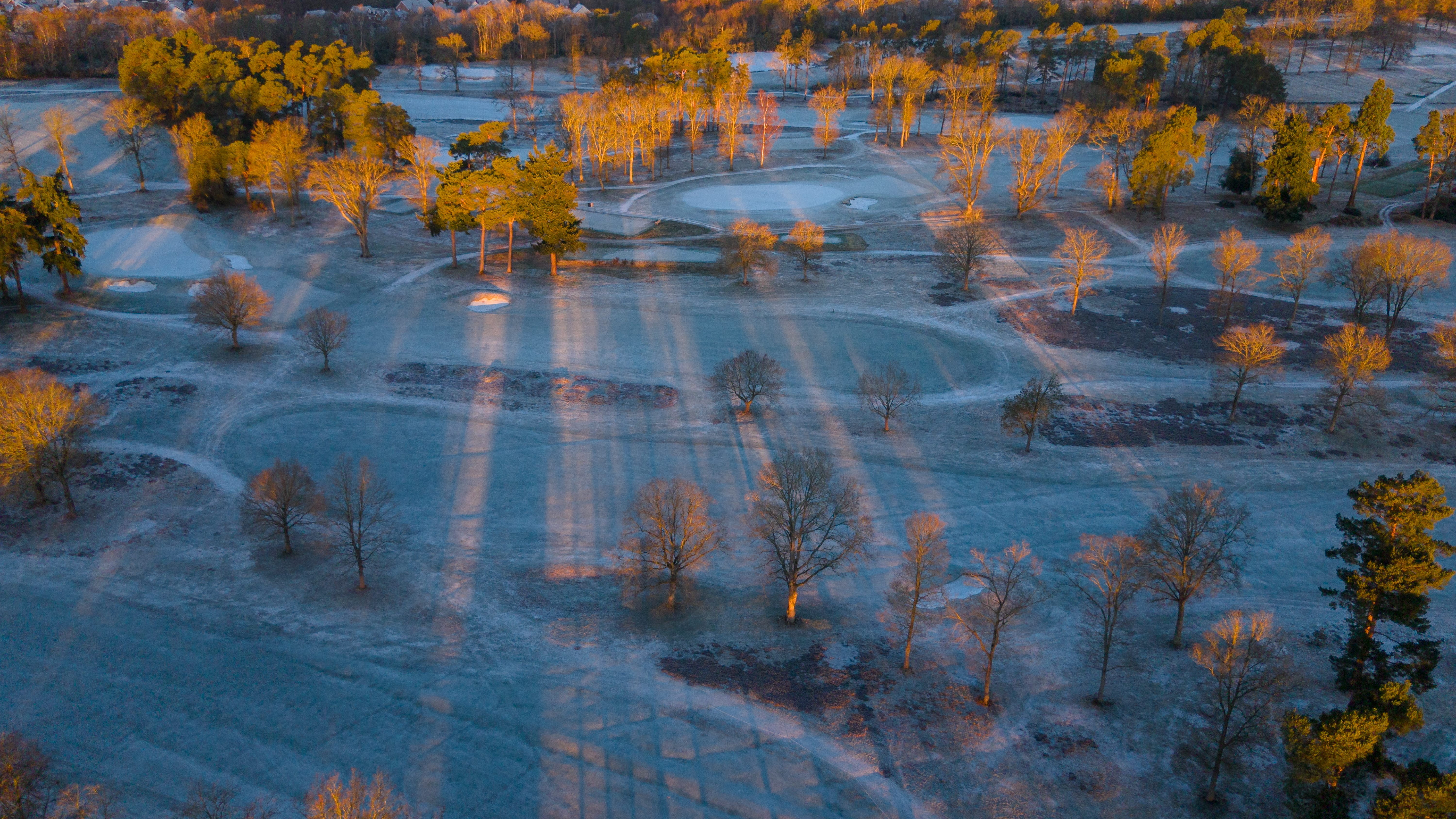 Frost across North Hants at sunrise, long shadows cast by bare winter trees