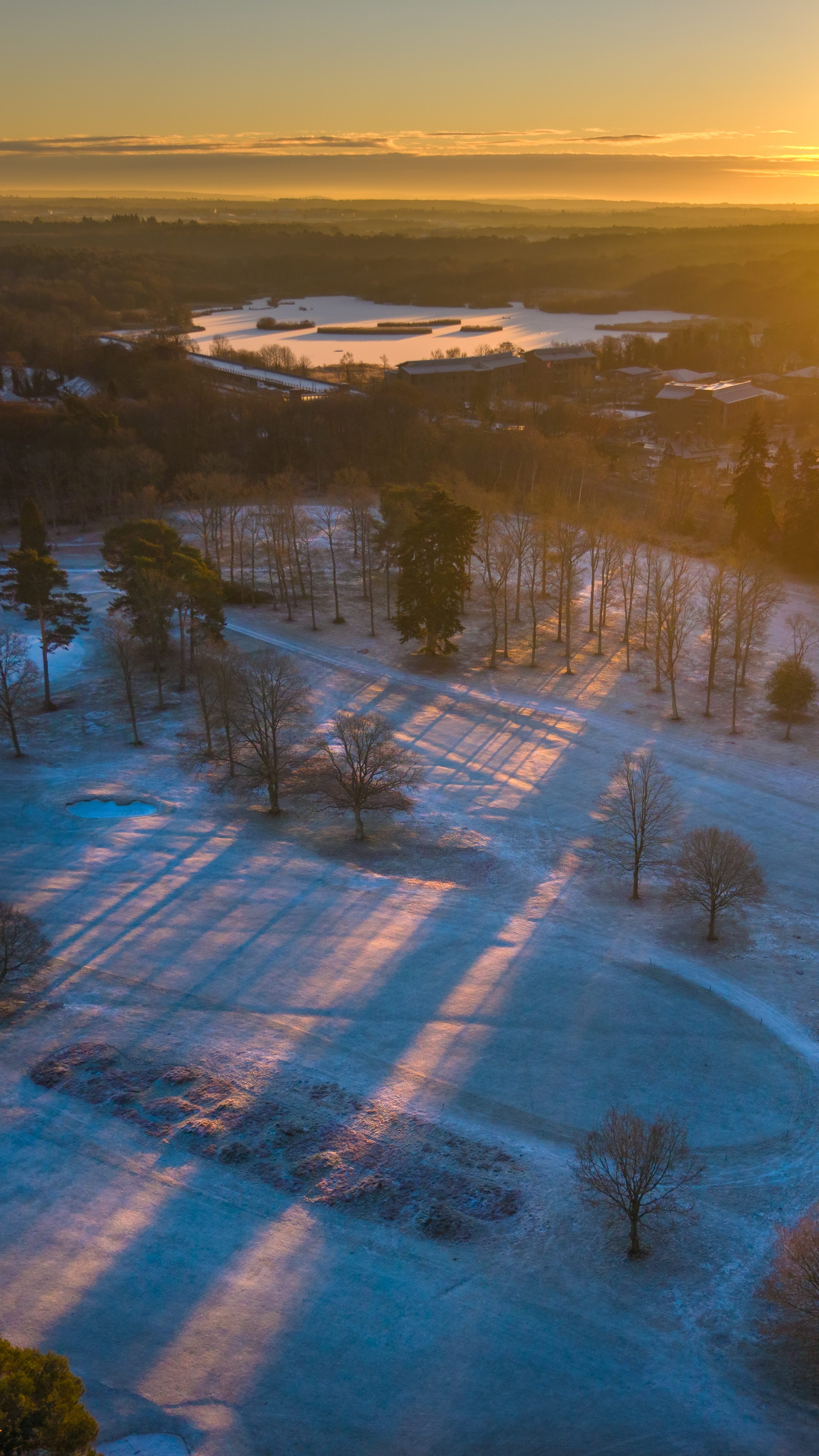 Frost and low winter sun over the course, a portrait aerial through bare trees