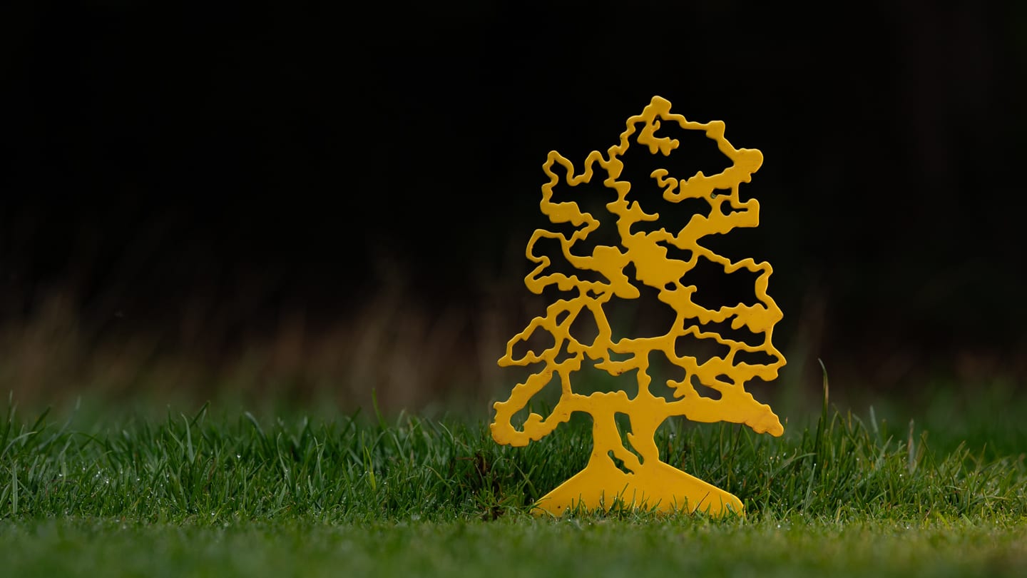 A yellow metal tree marker standing in dew-covered grass